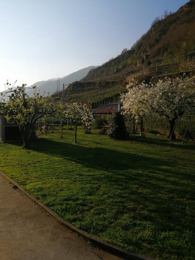 Casa Vacanze La Ca Del Cunfec Сондрио Екстериор снимка