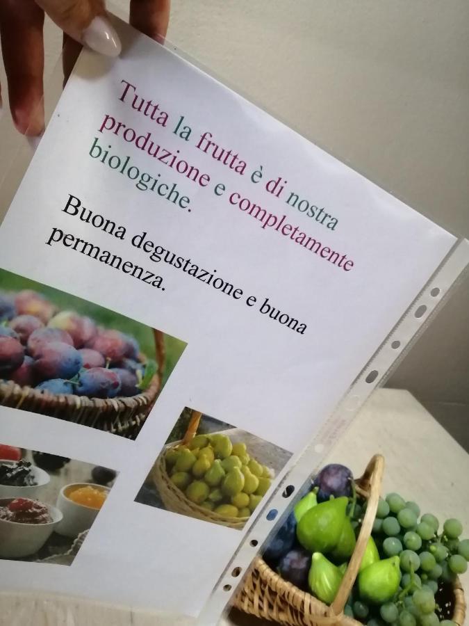 Casa Vacanze La Ca Del Cunfec Сондрио Екстериор снимка